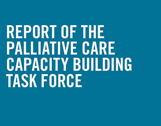 Palliative Care Report
