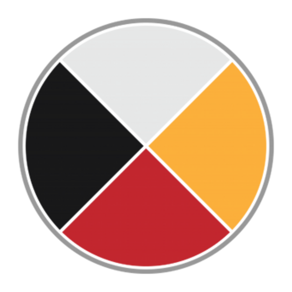 Indigenous medicine wheel